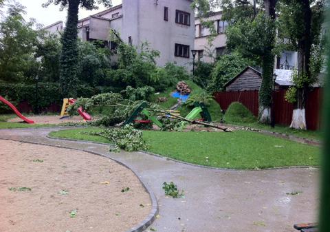 PERICOL LA GRĂDINIŢĂ! Copac căzut peste un loc de joacă
