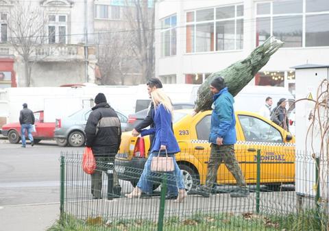Marcel Toader şi iubita şi-au cumpărat brad. Vezi cum l-au transportat până la maşină!