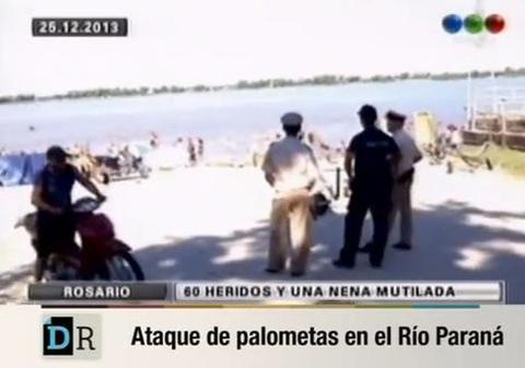 ŞOC ŞI GROAZĂ ÎN ARGENTINA! S-au înregistrat peste 70 de răniți în urma unui atac al peștilor piranha | VIDEO