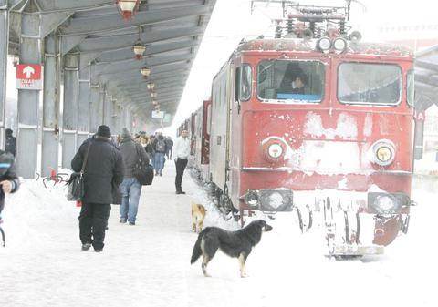 MĂRTURIE HALUCINANTĂ a unui călător într-un tren. Este INCREDIBIL ce s-a întâmplat pe ultimii 30 de kilometri până la Bucureşti