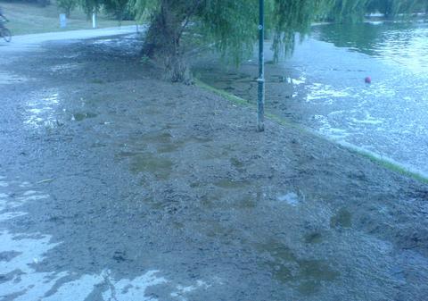 IGNORANŢA autorităţilor, PERICOL PUBLIC. Mizeria din Parcul Tineretului îi sperie pe oameni | FOTO