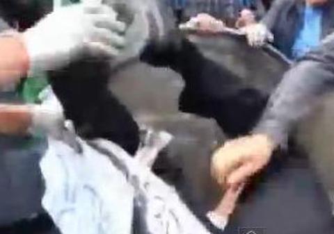 Ce i-au făcut! Un deputat ucrainean a fost aruncat de protestatari într-un tomberon plin cu gunoi | VIDEO
