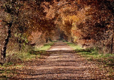 NE LUĂM SANDALELE SAU PUNEM PALTONUL? CUM VA FI VREMEA LUNI ŞI MARŢI