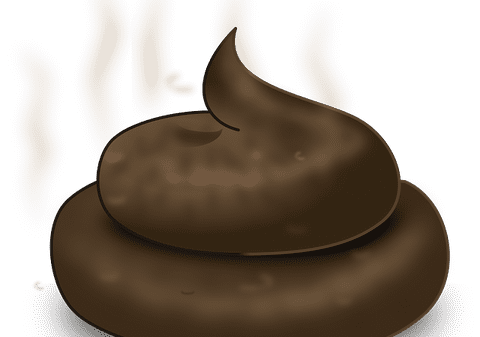 SCÂRBOS sau SĂNĂTOS? Există un loc unde SE PLĂTEŞTE pentru CACA. Faci MAI MULT, primeşti MAI MULT