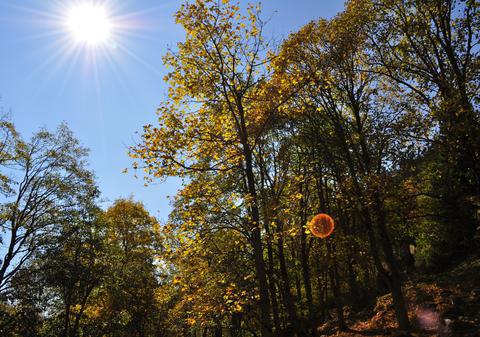 PROGNOZA METEO. Cum va fi VREMEA în URMĂTOARELE 4 zile