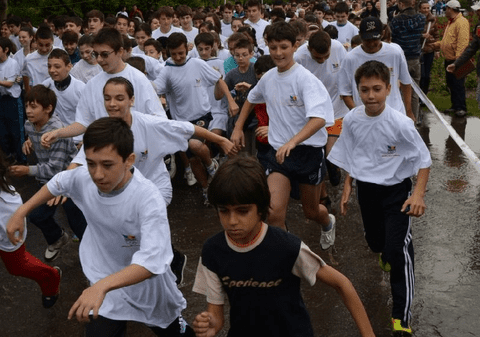 COSR, MECS si zece federații sportive dau startul Olimpiadei Gimnaziilor