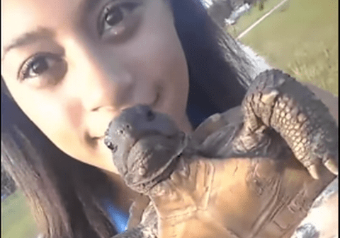 Imaginile au ajuns pe net! Ce face această tânără cu o broască ţestoasă găsită pe stradă | VIDEO