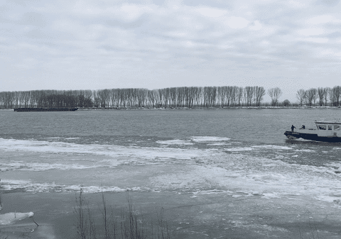 O femeie a fost salvată din Dunăre în ultima clipă. Putea să moară oricând în apa înghețată