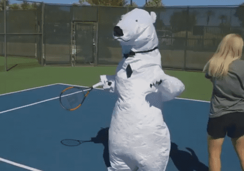 Simona Halep a jucat tenis deghizată într-un urs polar gigant / VIDEO