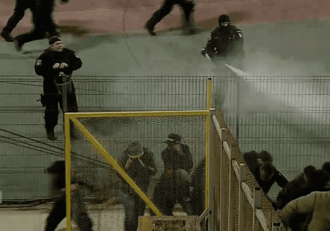 Urmările incidentelor provocate de fanii dinamoviști la meciul cu Viitorul: 20 de suporteri vor fi sancționați pe baza probelor video