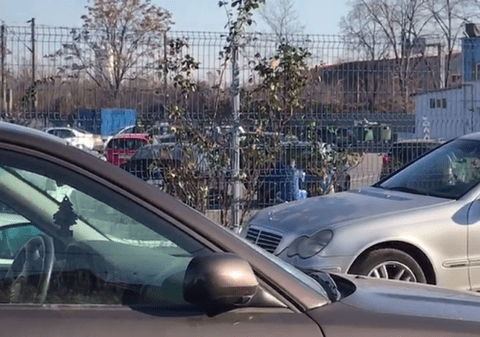 Foamea de rable naște ilegalități: o mașină pleacă din curtea RAR cu numere false și fără RCA