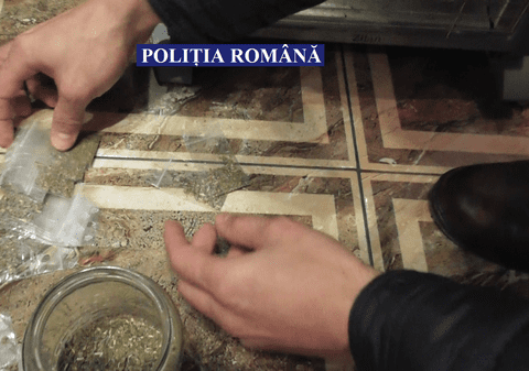 Produse cu efecte psihoactive, confiscate de polițiștii din Călărași