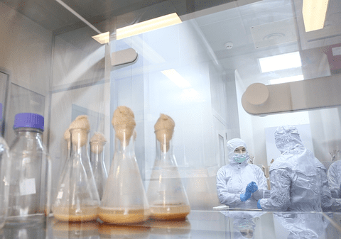 VIDEO / Institutul de Fizică Atomică din Măgurele are o cameră fără niciun microb: Aici este locul cel mai curat din România