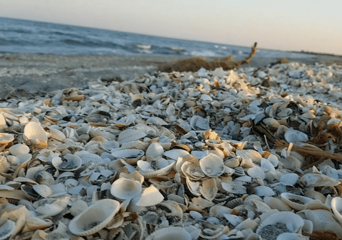 Plaja Corbu - Iată cum arată plaja de la Corbu, una din cele mai populare destinații de pe litoralul românesc