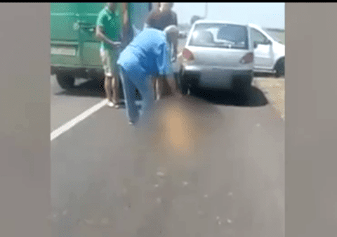 Și-a legat câinele de mașină și l-a târât până l-a umplut de sânge. Fapta de o cruzime extremă a unui bărbat din Turnu Măgurele