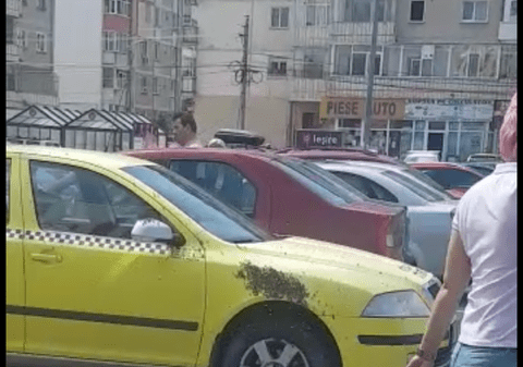 Albinele au atacat un autoturism, vineri după amiază, în Neamț |FOTO
