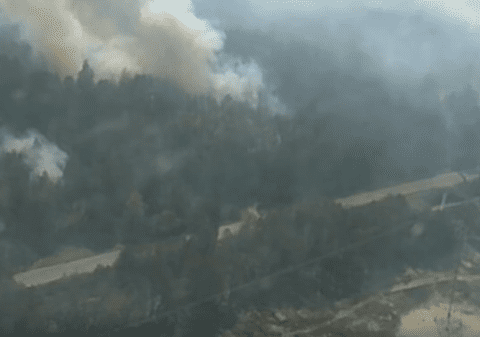 Pădurea Roşie de la Cernobîl a luat foc. Incendiul a cuprins rapid 10 hectare de vegetaţie