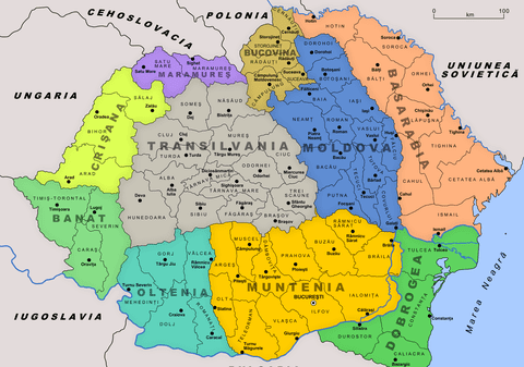 UPDATE. Percheziții la Centrul cultural român din Cernăuţi pentru încălcarea integrității statului ucrainean. Reacția MAE