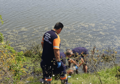 Moarte suspectă lângă Autostrada A1. O femeie a fost găsită fără viață, într-un lac. Detaliul descoperit de anchetatori la fața locului