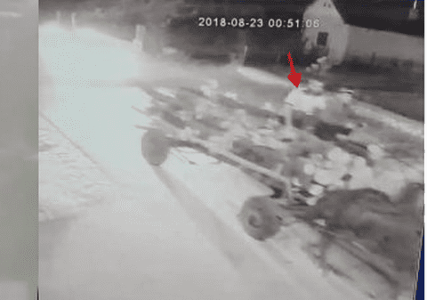 Primarul din Gura Foii a fost amenințat cu moartea de un fost jandarm. Agresorul a fost internat la psihiatrie / VIDEO