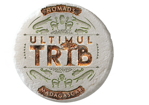 Ce ar lua cu ele pe o insulă pustie vedetele din ”Ultimul Trib” | FOTO