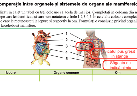 Greșeli grave și în manualul de Biologie de clasa a VI-a: Inima și ficatul sunt puse greșit. Numeroase dezacorduri