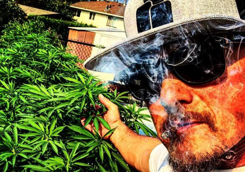 Un fost campion olimpic solicită scoaterea cannabisului de pe lista produselor interzise