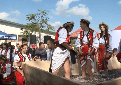 Producătorul de vin care a folosit ”fecioare cu atestat”: «Certificatele lor de virginitate mă ajutau să demonstrez că nu sunt mincinos»