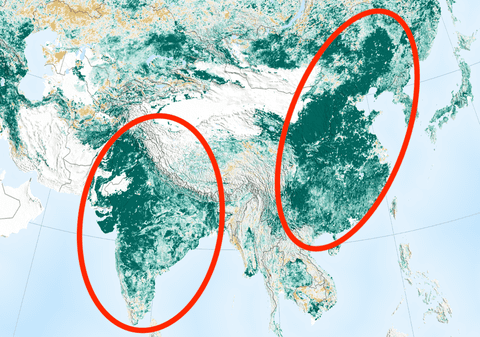 Concluzia uimitoare la care a ajuns NASA. Pământul este mai verde decât în urmă cu 20 de ani. China și India au investit masiv în replantarea pădurilor