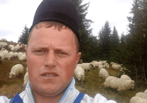 Oieritul din România, ”măcelărit” de exportul de animale vii. Ghiță Ciobanul: ”Ăștia ușor, ușor, reușesc să distrugă un bun național”