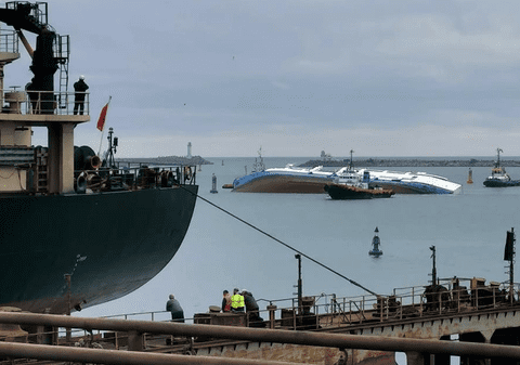 The Guardian: România, acuzată de „tăcere completă” în cazul naufragiului cu 14.000 de oi moarte