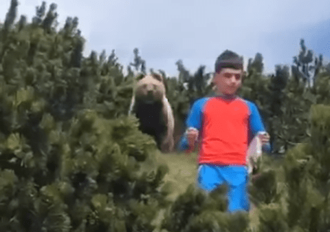 VIDEO | Un puști de 12 ani din Italia a scăpat cu viață după ce a fost urmărit de un urs. ”Nu m-am uitat în ochii lui”