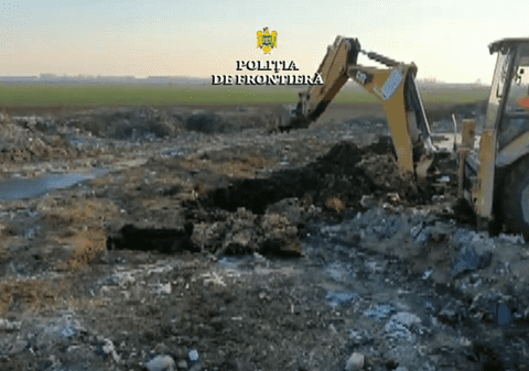 Cazul oilor înecate în Portul Midia: Animalele au fost îngropate în câmp, deși trebuiau incinerate. Patronul firmei: „Le-am incinerat la Protan şi am făcut îngrăşământ bio”