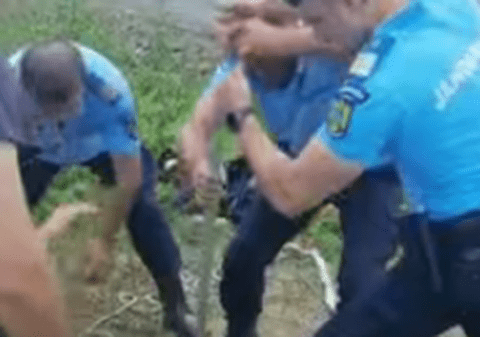 Intervenție de peste două ore pentru salvarea unui bursuc căzut într-un puț de 7 metri, în Buzău