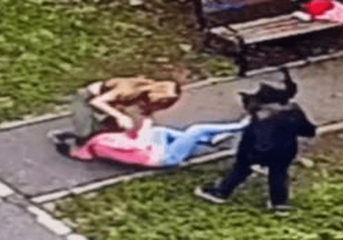 Două adolescente, filmate în timp ce se bat, într-un parc din Baia Mare. Poliția: „Nu există nicio plângere depusă”