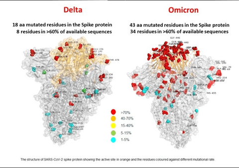 Prima imagine a variantei Omicron arată mai multe mutații decât la varianta Delta. Ce spun cercetătorii