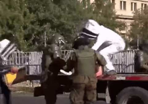 Cu stupii la miting: Polițiști chilieni, înțepați de albine la o demonstrație a apicultorilor