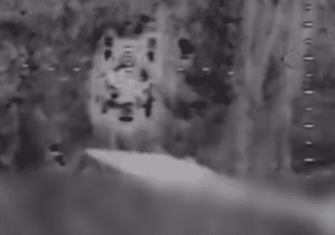 Momentul în care drone R-18 ucrainene distrug tancuri rusești Ural T-72. Cine este unitatea de elită Aerorozvidka