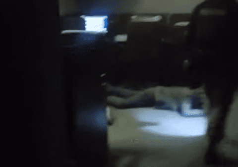 Poliția ucraineană a închis o sală de jocuri de noroc ilegală care funcționa într-un buncăr din Ujogorod