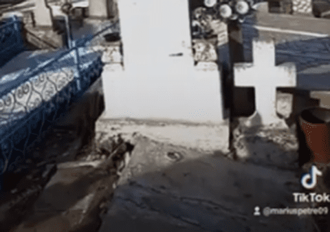 Poliția din Prahova a deschis dosar penal, după apariția unei filmări într-un cimitir, cu două persoane care dansează cu un schelet