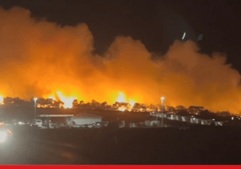 Mii de petrecăreți din cluburile de noapte de pe insula croată Pag, evacuați după ce o pădure de pini a luat foc