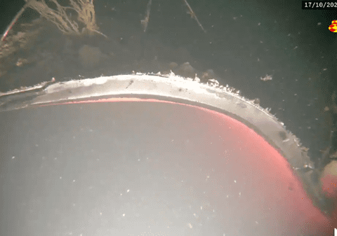 Primele imagini cu gazoductul Nord Stream după exploziile din Marea Baltică. „Lipsește o porțiune de 50 de metri”