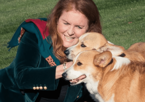 Imagini cu câinii Corgi ai reginei Elisabeta a II-a, publicate de ducesa de York: „Continuă să ofere iubire”