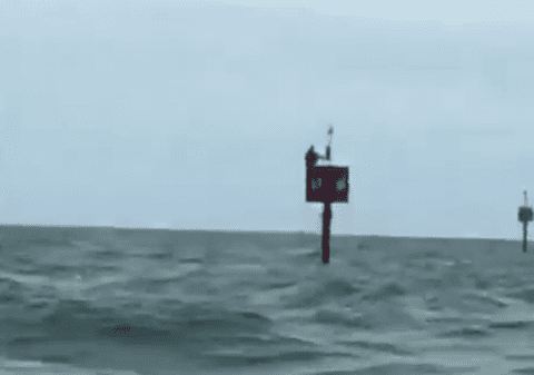 Un pescar a supraviețuit două zile în mijlocul Atlanticului, agățat de o geamandură, după ce a căzut din barcă, în Brazilia