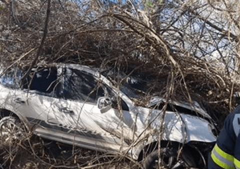 Primarul unei comune constănțene a murit după ce a intrat cu maşina într-un copac, la Neptun