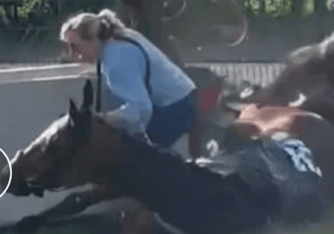 O femeie a fost strivită de doi cai ieșiți de pe pistă, care-și aruncaseră jocheii din șa, în timpul competiției Grand National de la Aintree