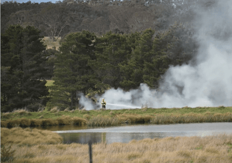 Un bărbat și cei trei nepoți ai săi au murit după ce un avion de mici dimensiuni s-a prăbușit în Australia