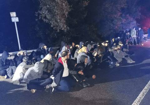 O fetiță de 4 ani a fost mușcată de câinele polițist care luase urma unui traficant de migranți, în Cehia