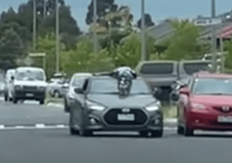 O șoferiță a plimbat copiii pe capota mașinii, în Melbourne: „Mă distram puțin cu ei” | VIDEO