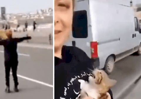 „L-am botezat «Miracol»”. O femeie a oprit traficul pe aglomeratul pod Atatürk din Istanbul și a salvat un pisoi blocat între benzi | VIDEO